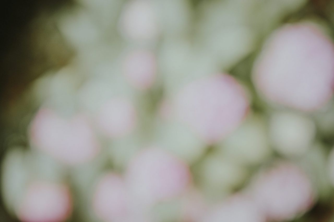 e-lib-feature-image