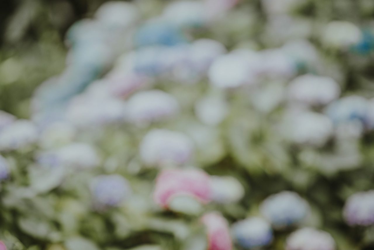 e-lib-feature-image