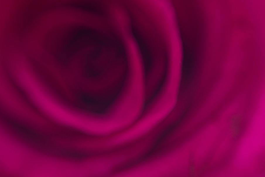 e-lib-feature-image