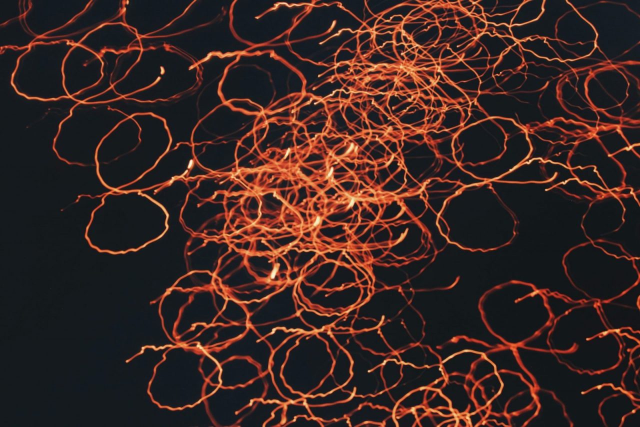 e-lib-feature-image