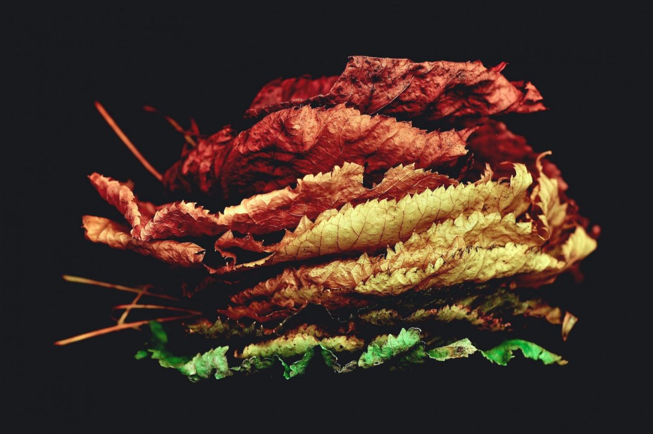 e-lib-feature-image