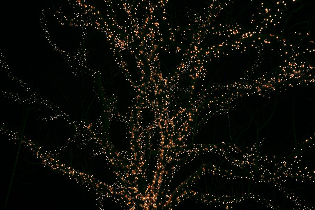 e-lib-feature-image