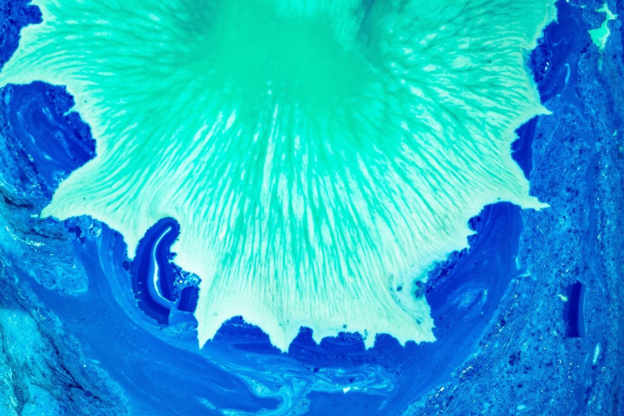 e-lib-feature-image