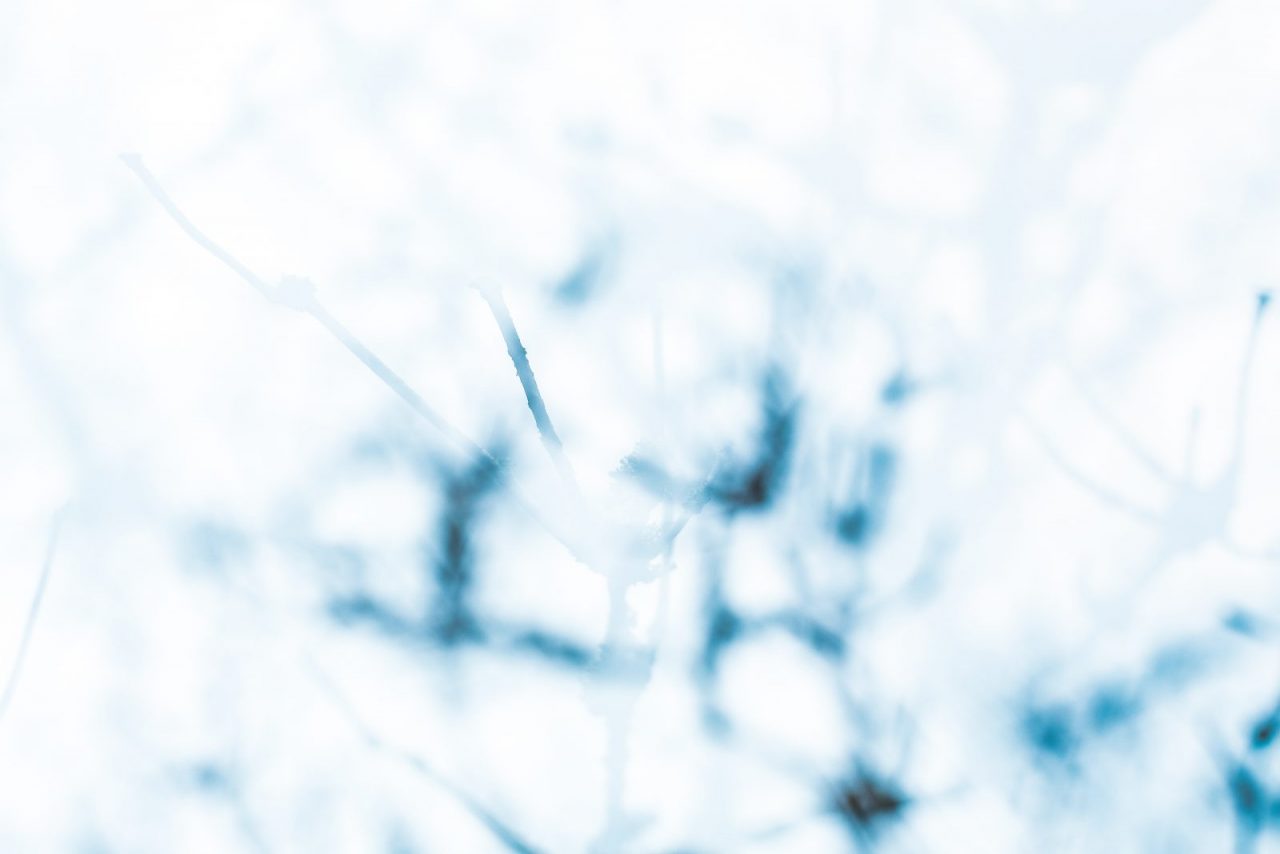 e-lib-feature-image