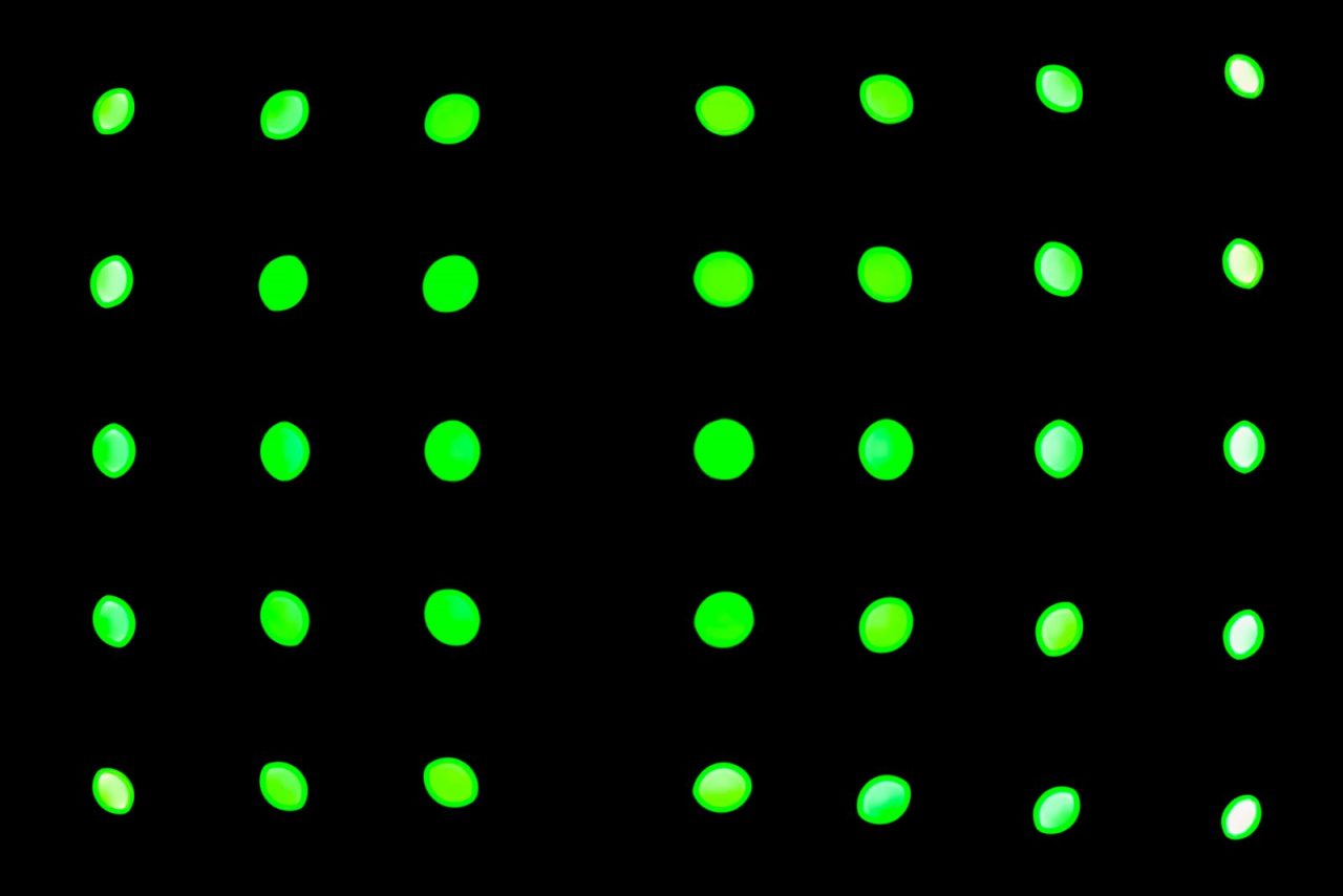 e-lib-feature-image