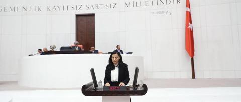 Turkey_parliament