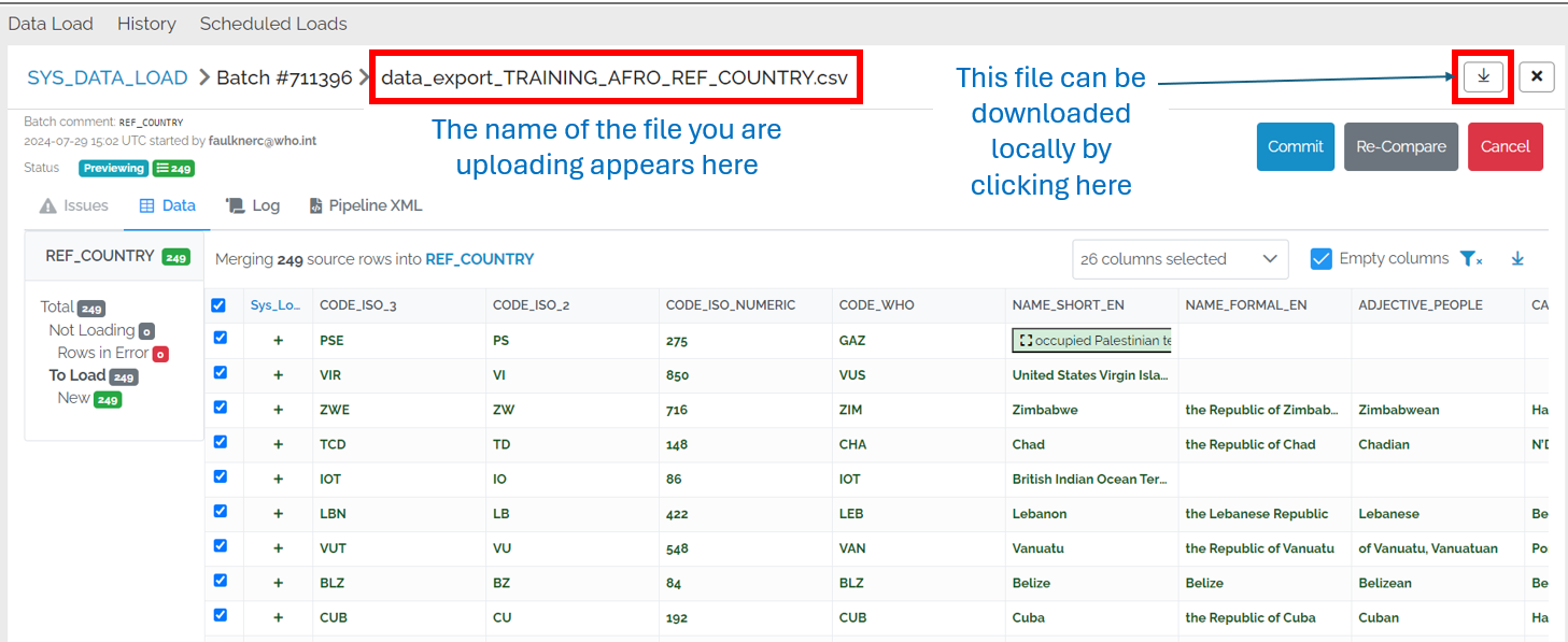 Image showing the Batch Preview page indicating the location of the file name and the down arrow to download it