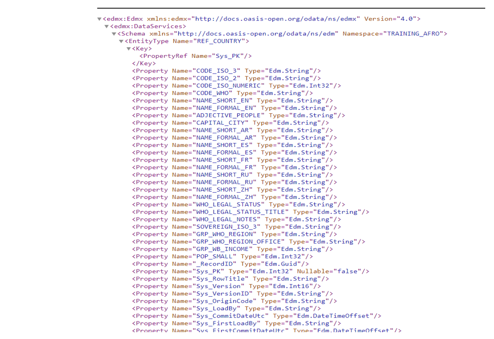 Image showing a JSON list of the columns and data types for REF_COUNTRY